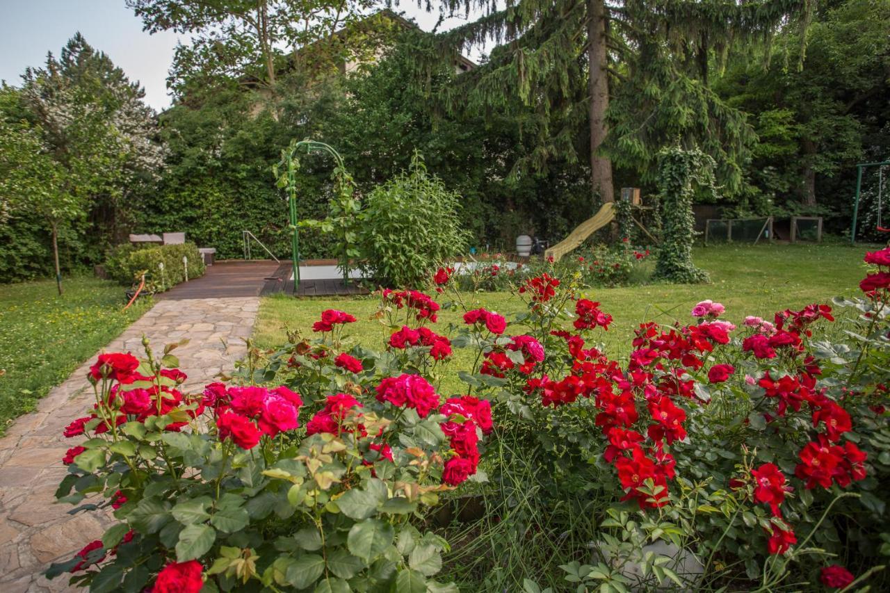 Huebsches Privatzimmer Mit Bad Perchtoldsdorf Exterior photo